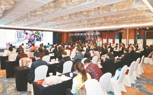 第六屆江蘇志愿服務(wù)展示交流會(huì)在泰舉行 企業(yè)形象策劃如何借力公益平臺(tái)